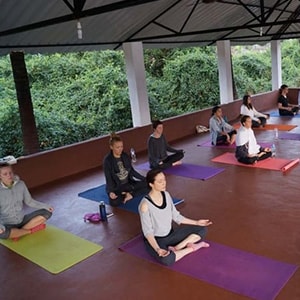 Yoga Teacher Training courses fee